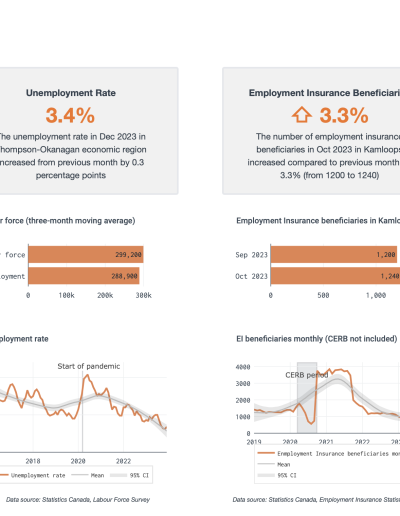 Economic Indicators Dashboard on CityViz economic development data portal website