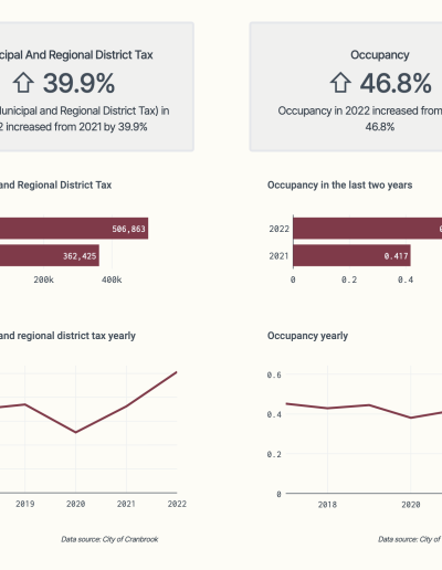 Economic Indicators Dashboard with custom data on CityViz economic development data portal website