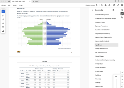 CityViz economic development data portal - Downloadable custom reports in PDF Word of PowerPoint format