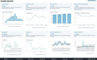 Economic Indicators Dashboard example with standard and custom data