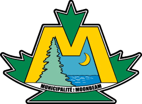 Township of Moonbeam logo on CityViz economic development data platform website