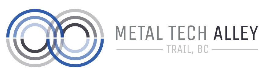 Metal Tech Alley logo on CityViz economic development data platform website